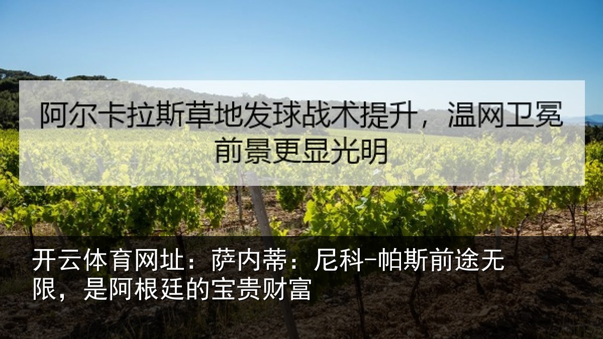 开云体育网址:萨内蒂:尼科-帕斯前途无限,是阿根廷的宝贵财富